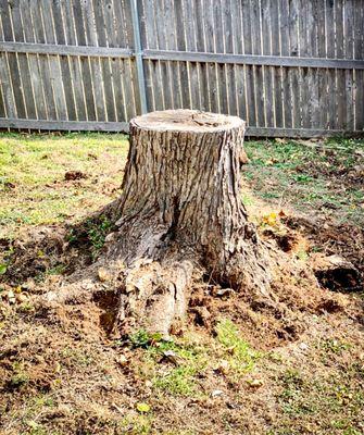 Properly removing a stump requires a professional service. Don't waste your time drilling holes, pouring chemicals, or slowly chipping away.