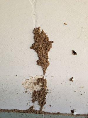 Allstates Termite & Pest Control