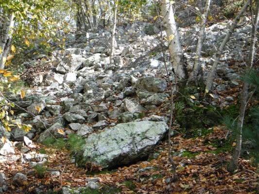 Lots of rocks