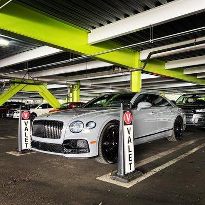 Xclusive Auto Spa - Bentley White