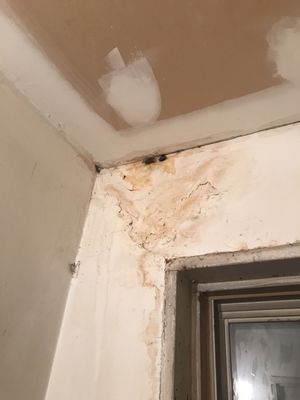 Water damage on basement ceiling