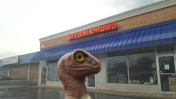 Bob the Raptor Says "Mammals come here to get drums."