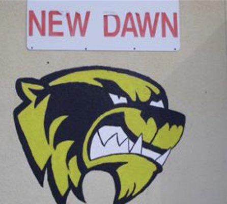 Wolverines mascot - New Dawn High School