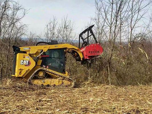 Clearing an overgrown pasture