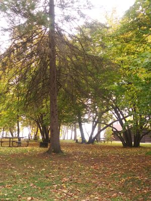 Picnic area