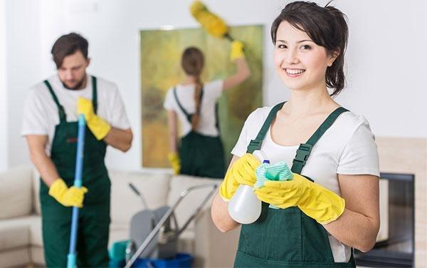 Premier House Cleaning Services