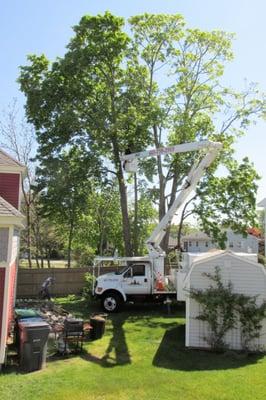 Bucket trucks are cool