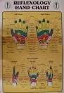 Reflexology Hand Chart