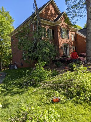 Removed tree that the top broke off and rested on the roof