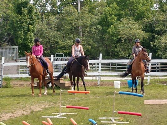 Wind Crest Horse Farm