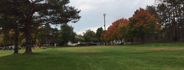 Football practice on field in park