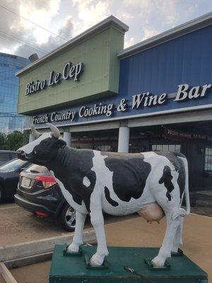 How now, lakeside cow?