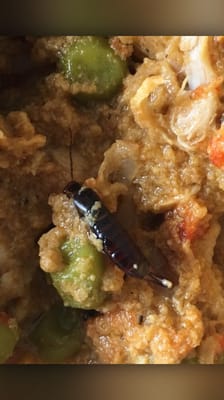 I bought your SEALED packaged curry chicken at Costco and found a pincher bug.  Costco is aware.  You should be too!