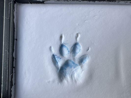 Paw print