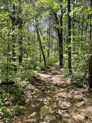 Hidden Springs Trail Loop