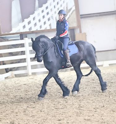 Trainer Dana Denison rides her friesian.