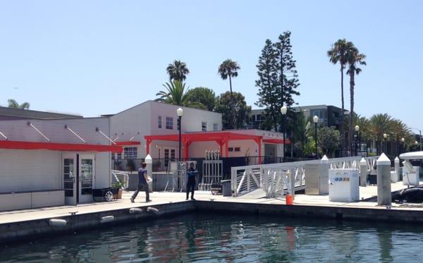 Wildebeest's office from the pier