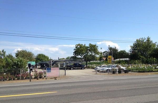 A small, basic nursery on Table Rock Rd.