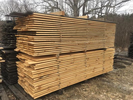 Pine Boards Drying on Sticks