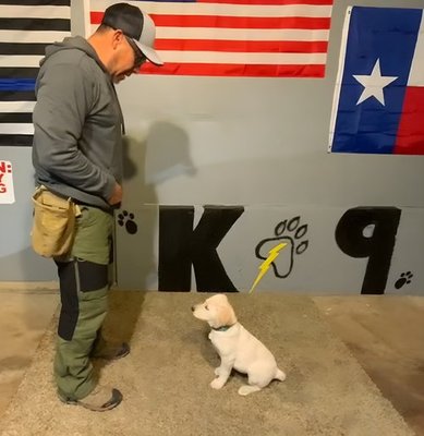 ORO K9 Services