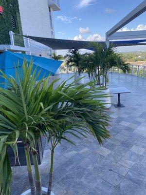 Roof top pool deck