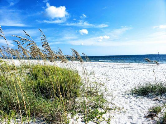 Brenda G Miller - Beach Realty