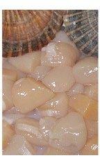 Nantucket Bay Scallops.  We ship FedEx.