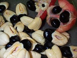 Jamaican Ackees: fresh, frozen or cooked with salt fish. Please remember, Ackee & Salt Fish is Jamaica's National Dish!