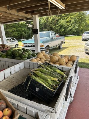 Fresh vegetables