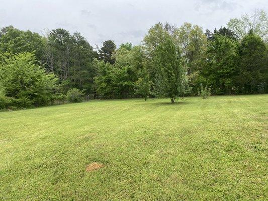 Open 1 acre lot we knocked down!