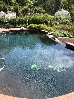 Black plaster pool with tile accents and vanishing edge waterfall