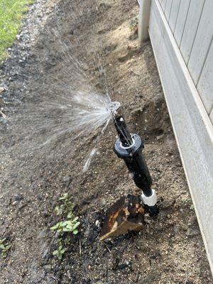 Fixed sprinkler head