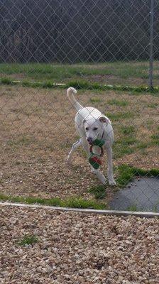 Macy outside playing