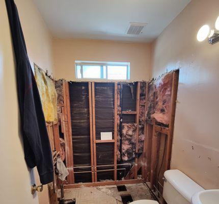 Bathroom remodel