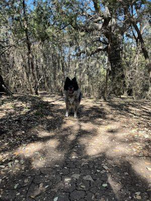 Sunset Valley Nature Trail