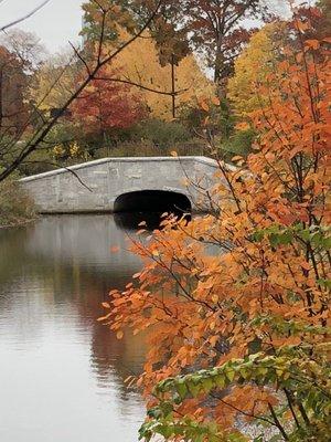 A beautiful fall day in Boston 2018. Enjoy!