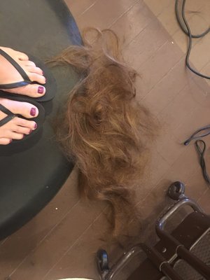 This is my pile of hair. Omg... that's a lot of hair.