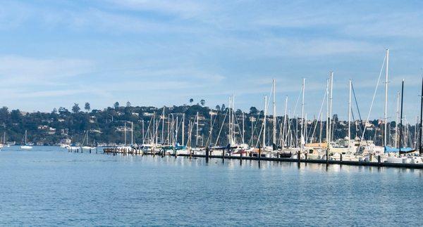 Sausalito Boats