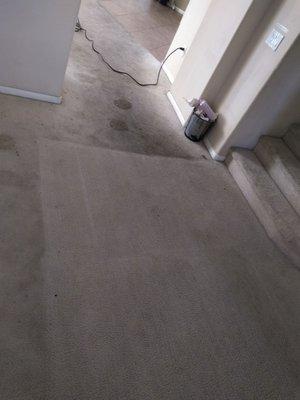 Carpet cleaners here do a great job!!!