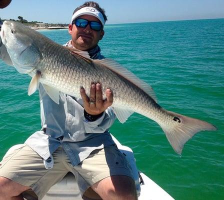 Tampa Bay Fishing Charters