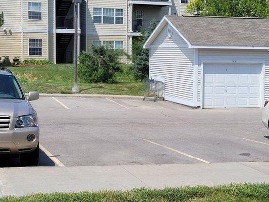 Waterbrook tenants regularly steal shopping carts from local retail stores, ditch them in an adjacent apartment complex parking lot.