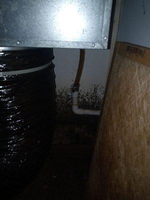 The furnace that is kept in the second room, where the mold is breeding and penetrating into the living room.