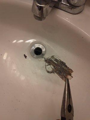 Hair in the sink drain after the apt. was cleaned before moving in.