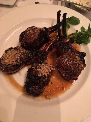 Lamb Chops