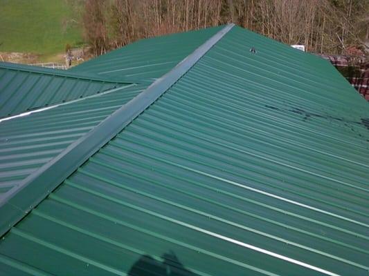 Tore off and installed new metal roof.