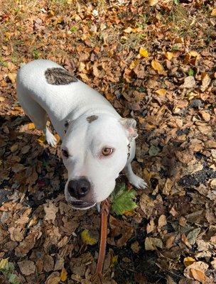 Miss Dottie hitting the trails