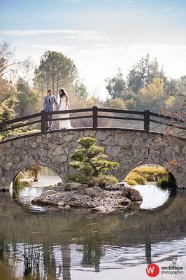 Bride and Groom on the Moon Bridge. Shinzen Japanese Gardens, Woodward Park. Fresno.