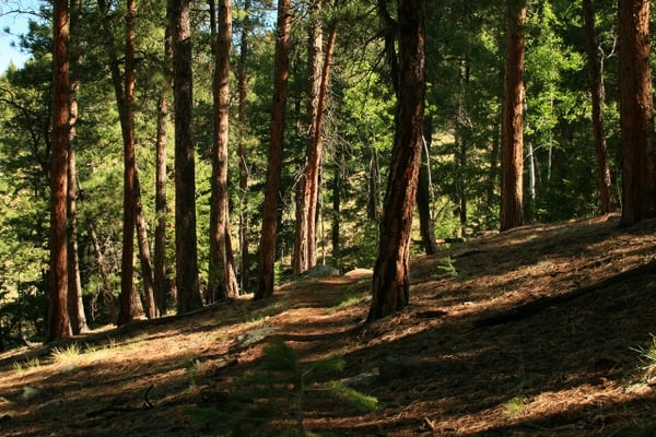 Colorado Trails Collection