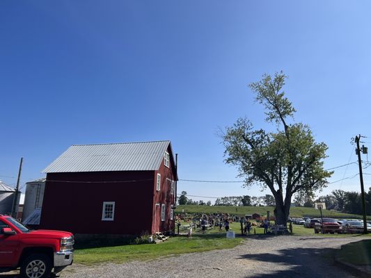 Proximity to bullock farm