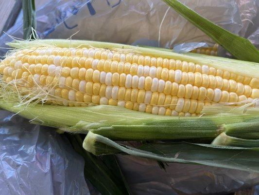 Sweet corn